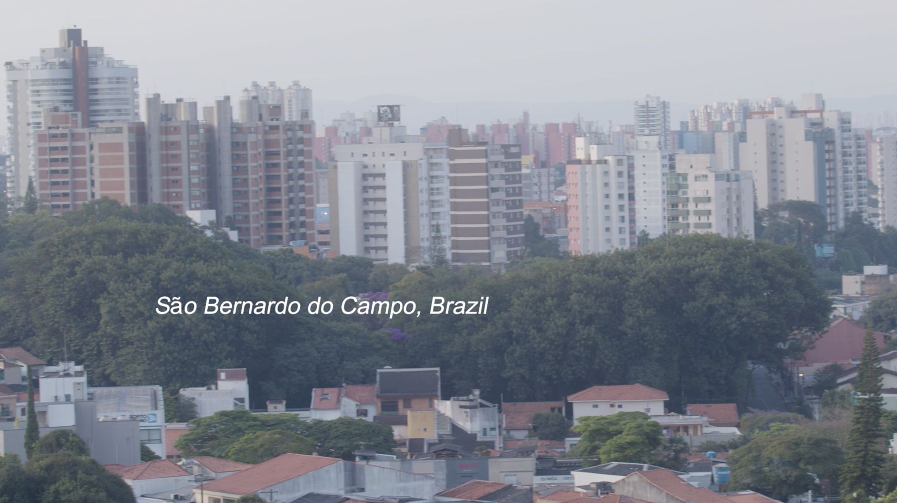 The skyline of São Bernardo do Campo above a canopy of trees